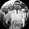 muhammed.ali8440