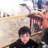 sabarashid61