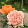 marwanesimou7