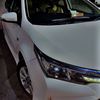 alibajwa490