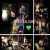 falconesport19