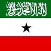 mo.abdi65
