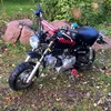 laiska_manki_punamusta50