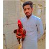 usmannabi12