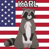 theunitedstatesofkarl