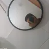 zeguilherme154