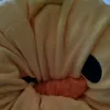 mr.ducky_