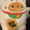potatoluckycat