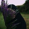 zila190893