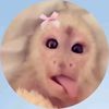ellabackupaccount_100