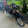 dery.2244