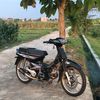 allzztamvan