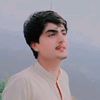 saqib.adhozai