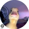 pato_99_7