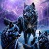 user58528816022886