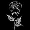 javeriarashid_77