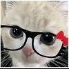 vyaa_not_via