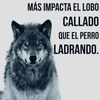 carlos.cedeo867