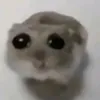 pioxtaro