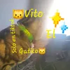 vito.el.gatito