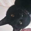 _alexander_26_