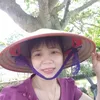 lin.vit45