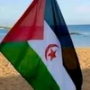 ahmed.sidi87