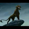 zira.maedekovu