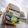 aka_wisata_blackmarlin
