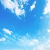 user7304913861325