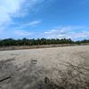 sobar.hasibuan4