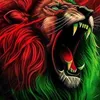 rachid.zahraoui3