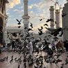 hijrah0854