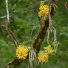 nhacuakien86
