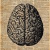 knowledgeispower2222