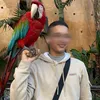 mohamedelbadaoui38
