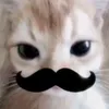 fnaf_faan77