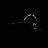 zeyad.mohamed417