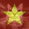 toiyeulop6a5