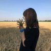 corn_n1