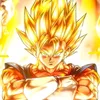 super_vegetto48