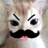 viviimutt3