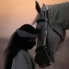 ashoojan040