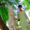 sardarirfandogar24