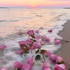 noof_936_