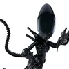 dollcollector130
