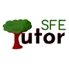 tutorsfe