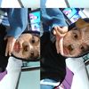 han_iec4