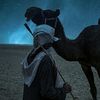 qazr_2