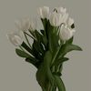 rola5949